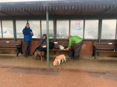 Just about did it, takeaway bacon butties under shelter at Gorleston. Our cottage is only a few steps away but we mustn't be tempted!